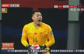 在线游戏-威尔士客场负于冰岛，出线须有奇迹的简单介绍