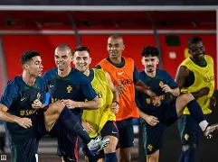 线上娱乐-葡萄牙天才球员受邀加盟,未来可期吗